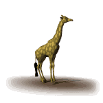 giraffa-immagine-animata-0037