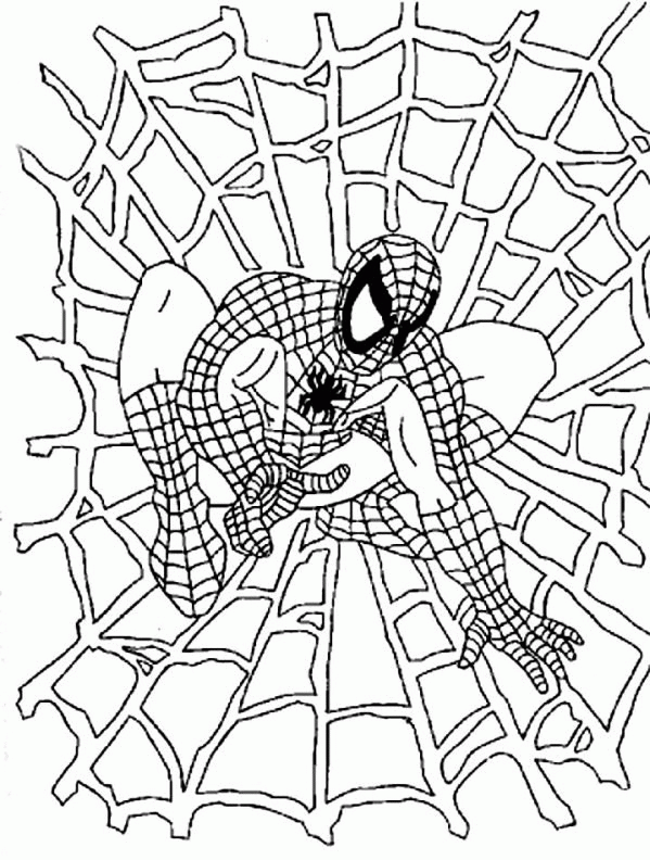 spider-man-da-colorare-immagine-animata-0002