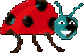 maggiolino-e-cimice-immagine-animata-0010