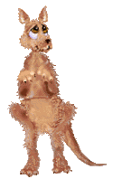 canguro-immagine-animata-0004
