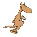 canguro-immagine-animata-0005
