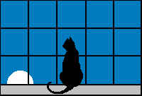 gatto-immagine-animata-0134