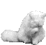 gatto-immagine-animata-0173