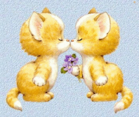 gatto-immagine-animata-0179