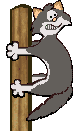gatto-immagine-animata-0191