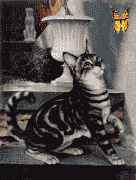gatto-immagine-animata-0203