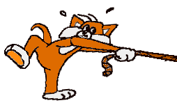 gatto-immagine-animata-0251