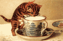 gatto-immagine-animata-0329