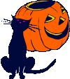 gatto-immagine-animata-0341