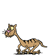 gatto-immagine-animata-0382