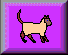 gatto-immagine-animata-0481