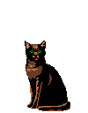 gatto-immagine-animata-0525