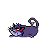gatto-immagine-animata-0529