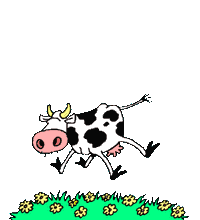 mucca-immagine-animata-0040