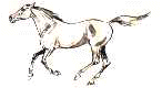 cavallo-immagine-animata-0244