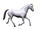 cavallo-immagine-animata-0258