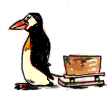 pinguino-immagine-animata-0048