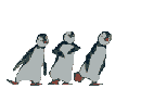 pinguino-immagine-animata-0051