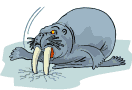 foca-immagine-animata-0015