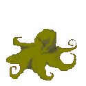 seppia-e-calamaro-immagine-animata-0004