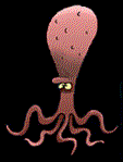 seppia-e-calamaro-immagine-animata-0007