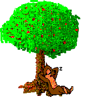 lupo-immagine-animata-0141