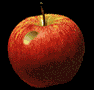 verme-immagine-animata-0046