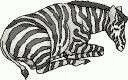 zebra-immagine-animata-0017