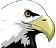 aquila-immagine-animata-0005