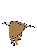 aquila-immagine-animata-0035
