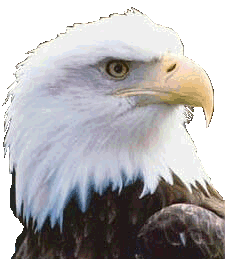 aquila-immagine-animata-0045
