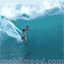 surf-immagine-animata-0022