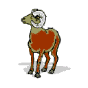 pecora-immagine-animata-0093