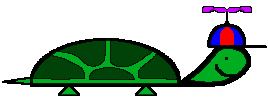 tartaruga-immagine-animata-0096