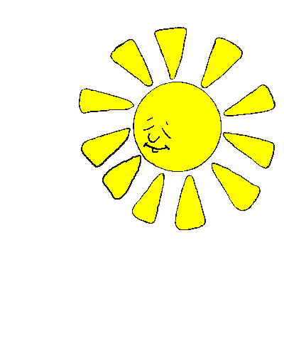 tartaruga-immagine-animata-0175