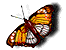 farfalla-immagine-animata-0043