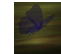 farfalla-immagine-animata-0329