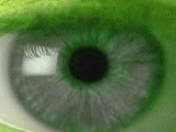 occhio-immagine-animata-0220
