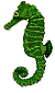 cavalluccio-marino-immagine-animata-0003