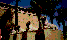 egitto-immagine-animata-0052