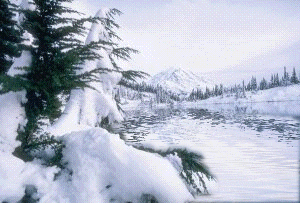inverno-immagine-animata-0004