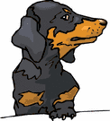 bassotto-immagine-animata-0023