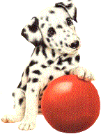 cane-dalmata-immagine-animata-0073