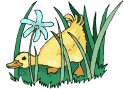 anatra-immagine-animata-0030