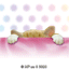 divertimento-immagine-animata-0045