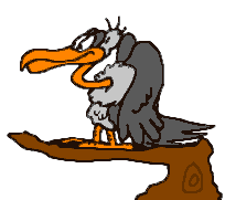 avvoltoio-immagine-animata-0012