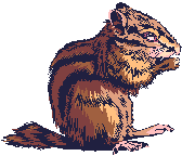 criceto-immagine-animata-0112
