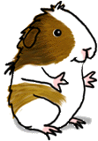 criceto-immagine-animata-0114