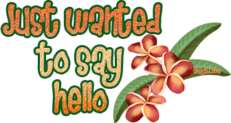 ciao-immagine-animata-0047