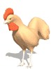 pollo-immagine-animata-0111
